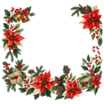 Stella di Natale